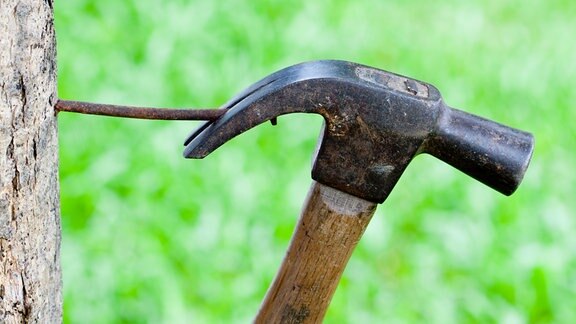 Ein Hammer zieht einen Nagel aus einem Baum
