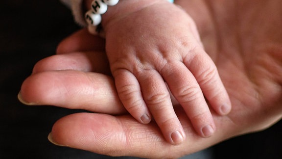 Hand eines neugeborenen Babys in der Hand der Eltern. 