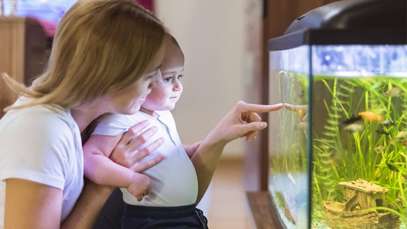 Mutter und Sohn beobachten Fische in einem Aquarium