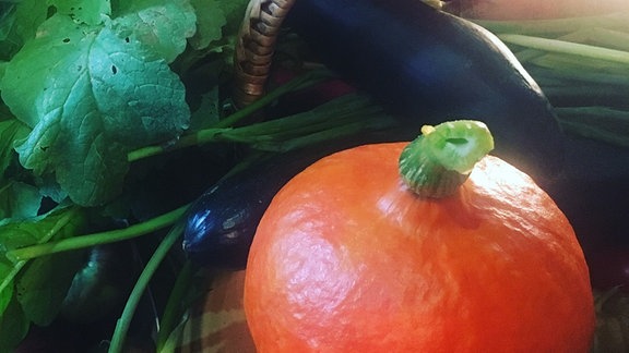 Sarah von Neuburg ernet Gemüse aus dem eigenen Garten. Auf dem Bild ist ein großer orangefarbener Kürbis, Zucchini, eine Gurke und Karotten in einem Korb zu sehen.