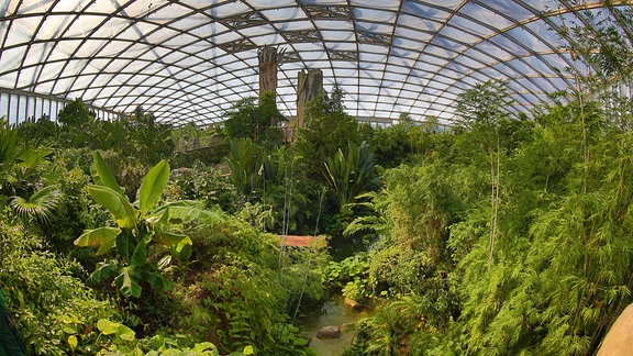 Gondwanaland im Leipziger Zoo