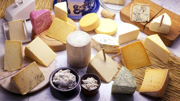 Auswahl an verschiedenen Käse-Produkten