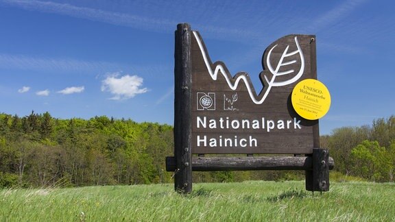Schild mit Titel: "Nationalpark Hainich"