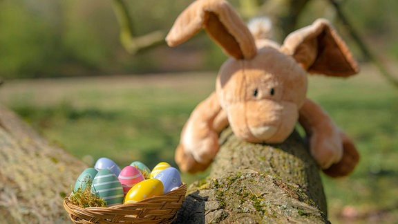 Geht auch dieses Ostern: Eier suchen im Park oder Garten. Aber eben mit Abstand. 