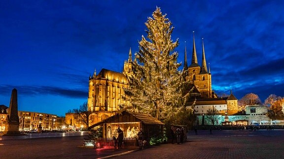 Weihnachtsbaum auf dem Erfurter Domplatz: Der Weihnachtsmarkt in der Thüringer Landeshauptstadt fällt wie in vielen Gemeinden und Städten in diesem Jahr aus. 